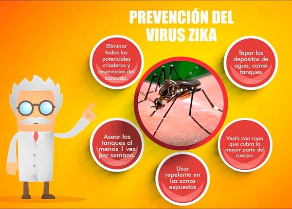 virus zika en embarazadas